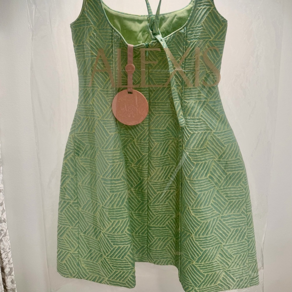 ALEXIS Bijoux Dress - Picture 6 of 7